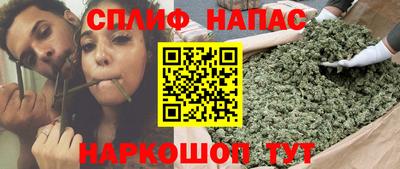 амф Камышлов
