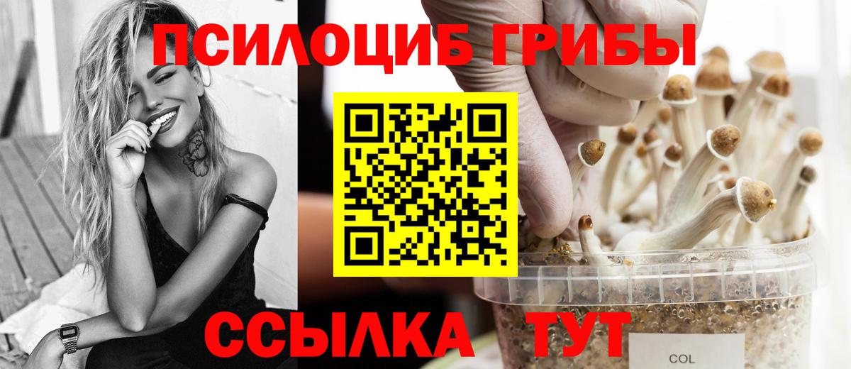 Галлюциногенные грибы Psilocybe Лангепас
